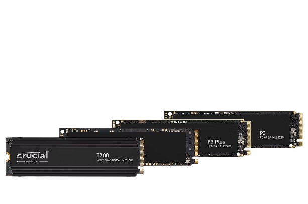 Crucial Authorized Distributor in Dubai, UAE 18 Crucial NVMe SSD's